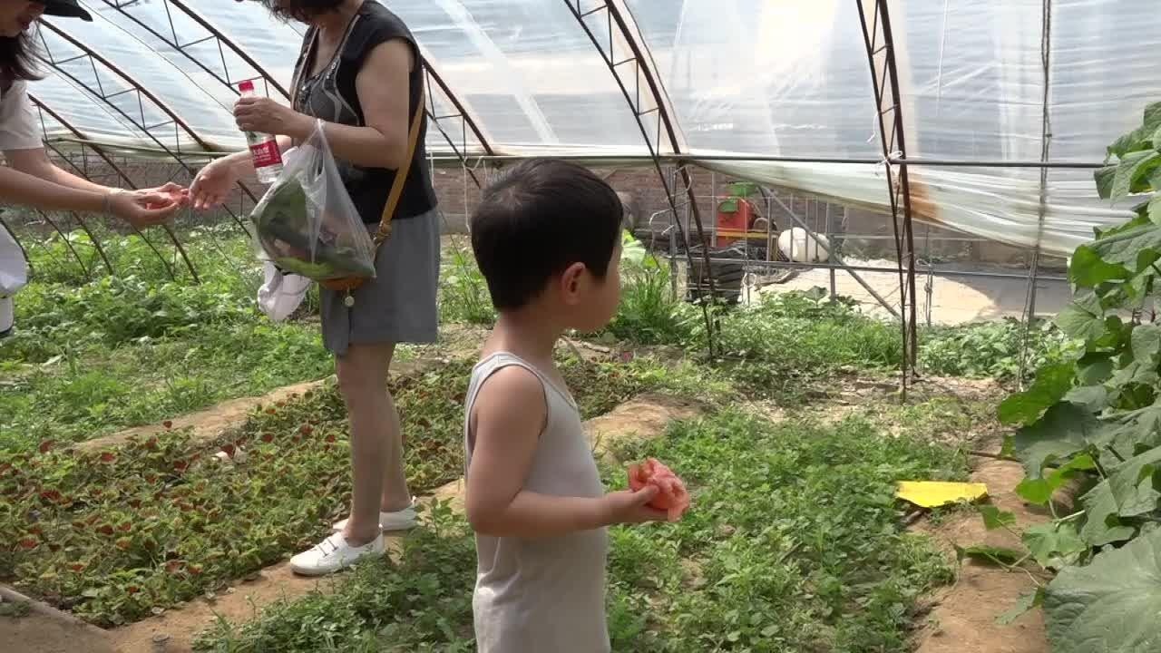 芝心园亲子采摘活动