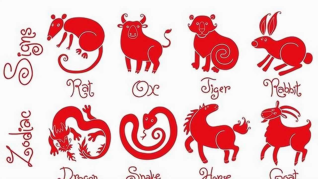 每个女生都想嫁为你推荐自动连播05:31属相婚配可信吗?