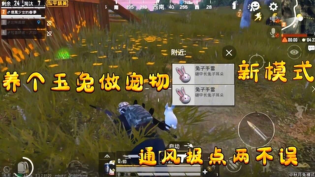 雷人辅助点开始悬浮窗消失_带悬浮窗的股票app_和平精英辅助器带悬浮窗