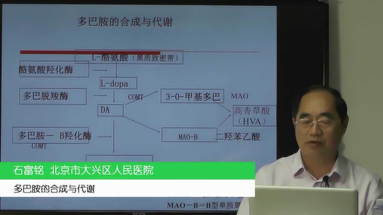 多巴胺的合成与代谢_高清1080P在线观看平台_腾讯视频