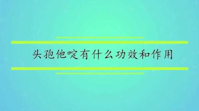 头孢他啶有什么功效和作用