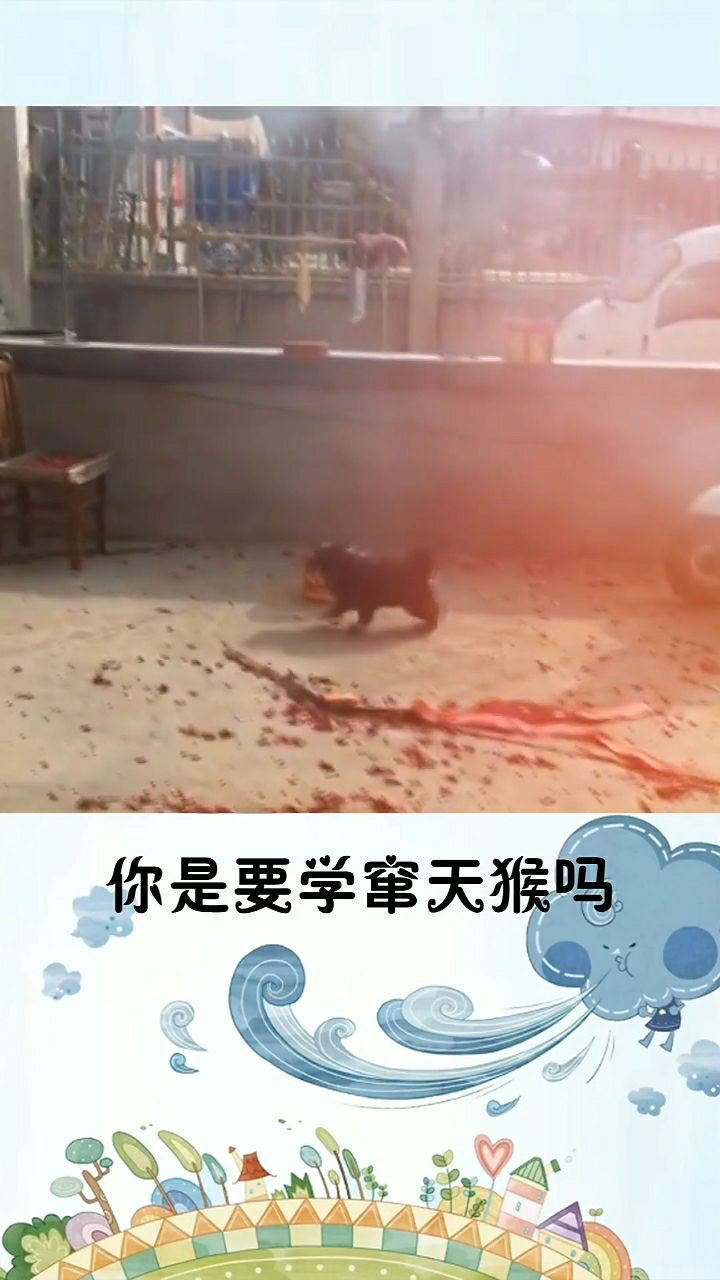 你是在学窜天猴吗