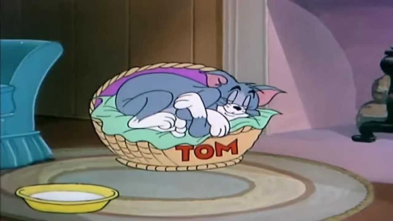 猫和老鼠:汤姆刚睡好觉!就开始梦游?飘在空中吓死只猫
