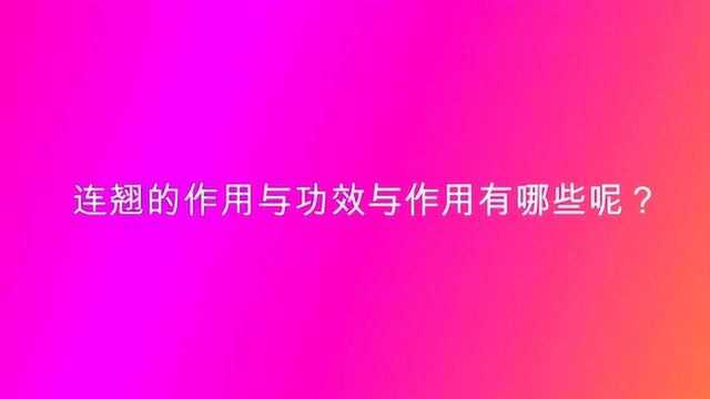 连翘的作用与功效与作用有哪些呢?