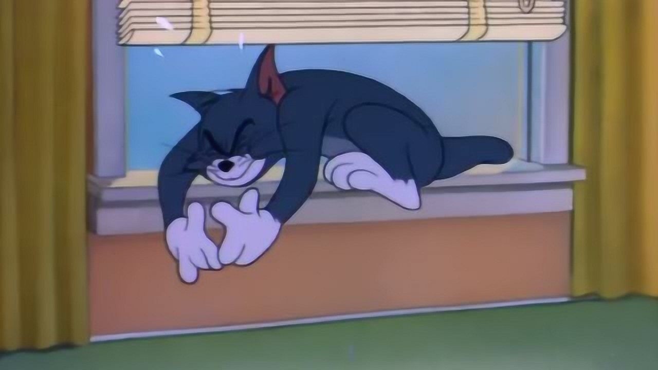 留宿归来的汤姆累的连窗户都翻不过住了在窗户上睡着了