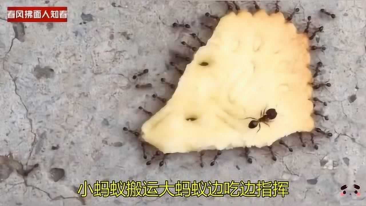 ŽСϰ˴ϱ߳ԱָӺӴڳ