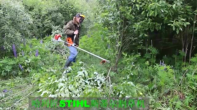 哈玛匠STIHL斯蒂尔FS120割草机