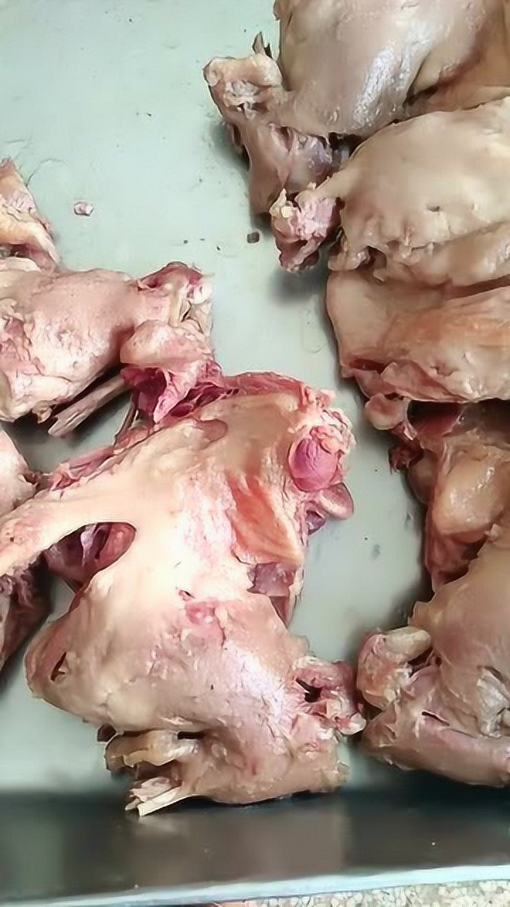 这狗肉到底多好吃不管它有多美味反正我是不会买的