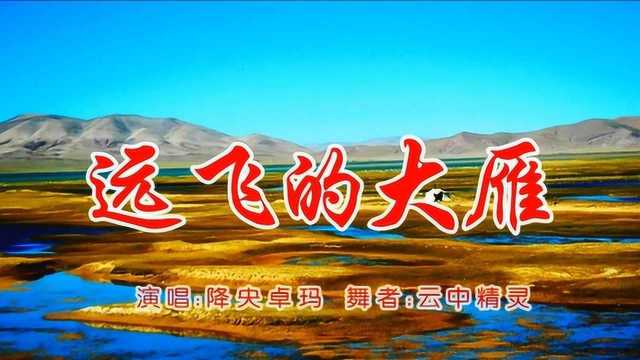 降央卓玛《远飞的大雁》,经典怀旧歌曲,回忆满满,百听不厌!