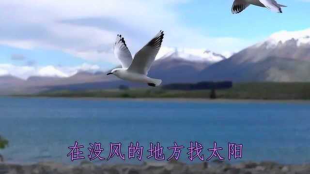 一曲网络火爆歌曲《往后余生》不愧是原唱,唱得真的好听