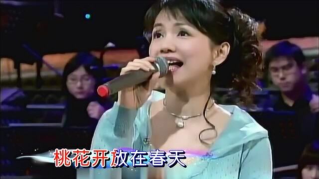 蔡幸娟《回想曲》,小调情歌,一年四季都在想你!