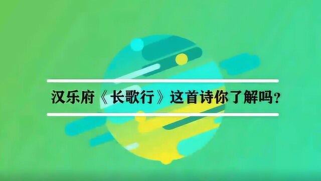 汉乐府《长歌行》这首诗你了解吗?