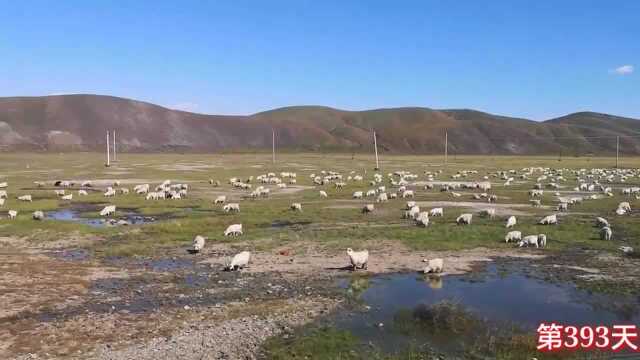 出发呼伦贝尔额尔古纳,带你们看看内蒙古沿途美景