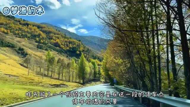 四川甘孜州S215省道超美风景,一个视频浓缩新都桥到甲根坝醉美高原秋色