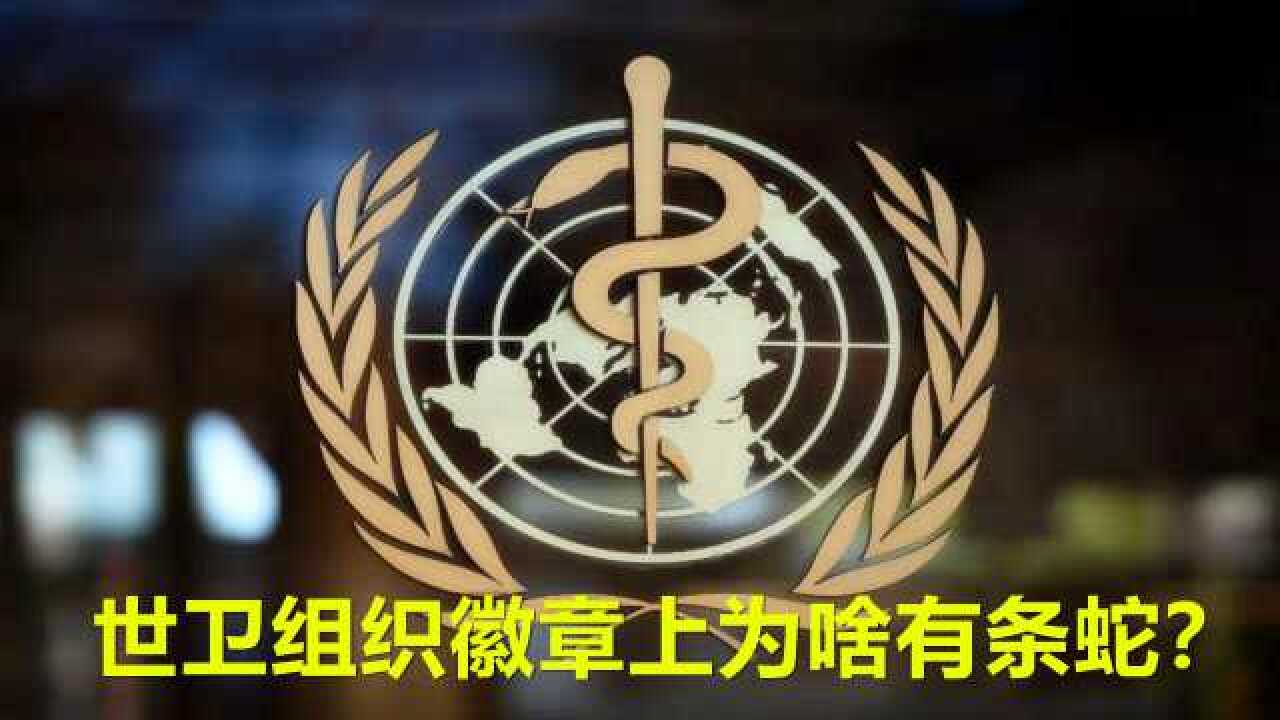 世界卫生组织徽章上为什么有条蛇?1分钟搞懂,很有意思