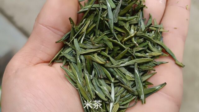 春茶成品出来啦!赵哥上街给网友们寄茶叶,看看这茶叶怎么样?