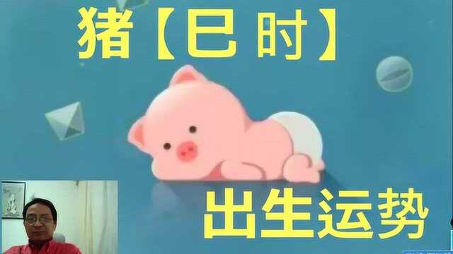 猪,巳时出生运势