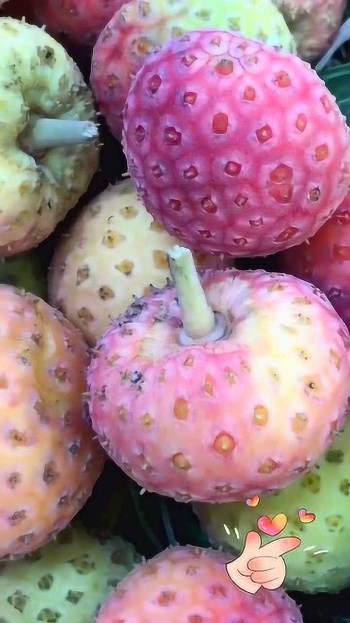 这是什么水果长这么大都没见过有谁能解答一下