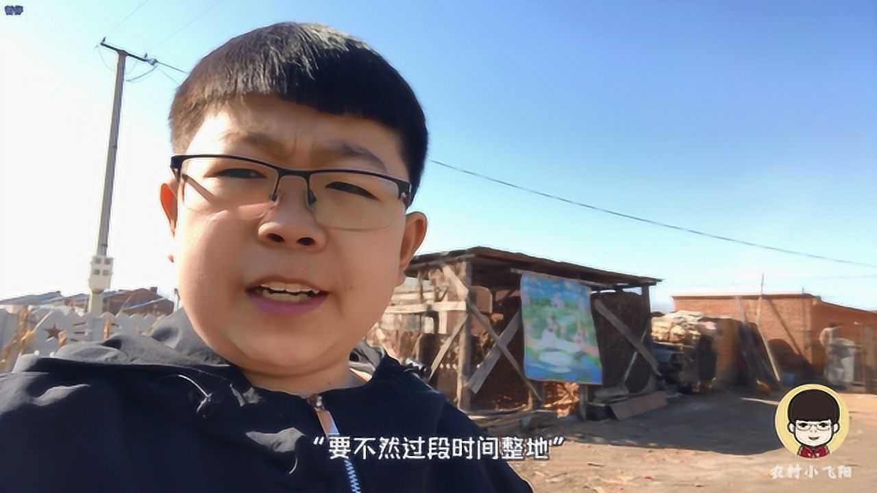 农村小飞阳:农村的苞米瓤子这么多用处?仓鼠都能用到它?真神奇