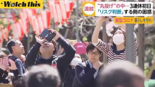 东京上野公园樱花盛开 疫情中众多游人无法聚会改步行赏樱