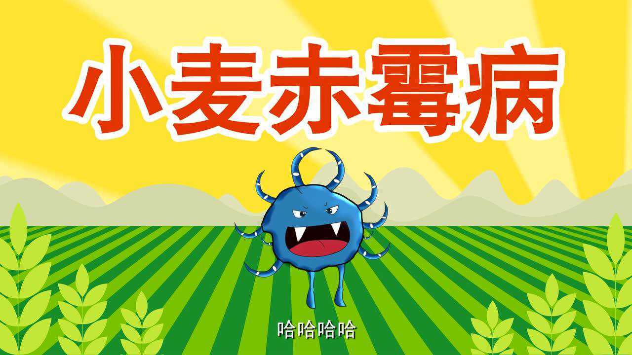 先正达麦甜动画介绍