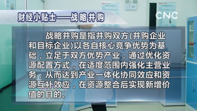 财经小贴士——战略并购