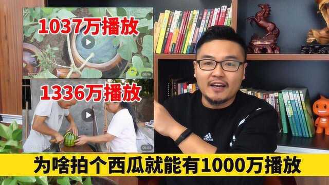 三农领域自媒体短视频怎么拍?其实都是有剧本的,网友:干货!