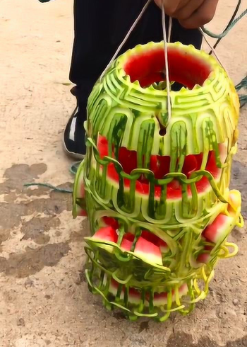 赶海小哥的西瓜地笼收获一只大螃蟹