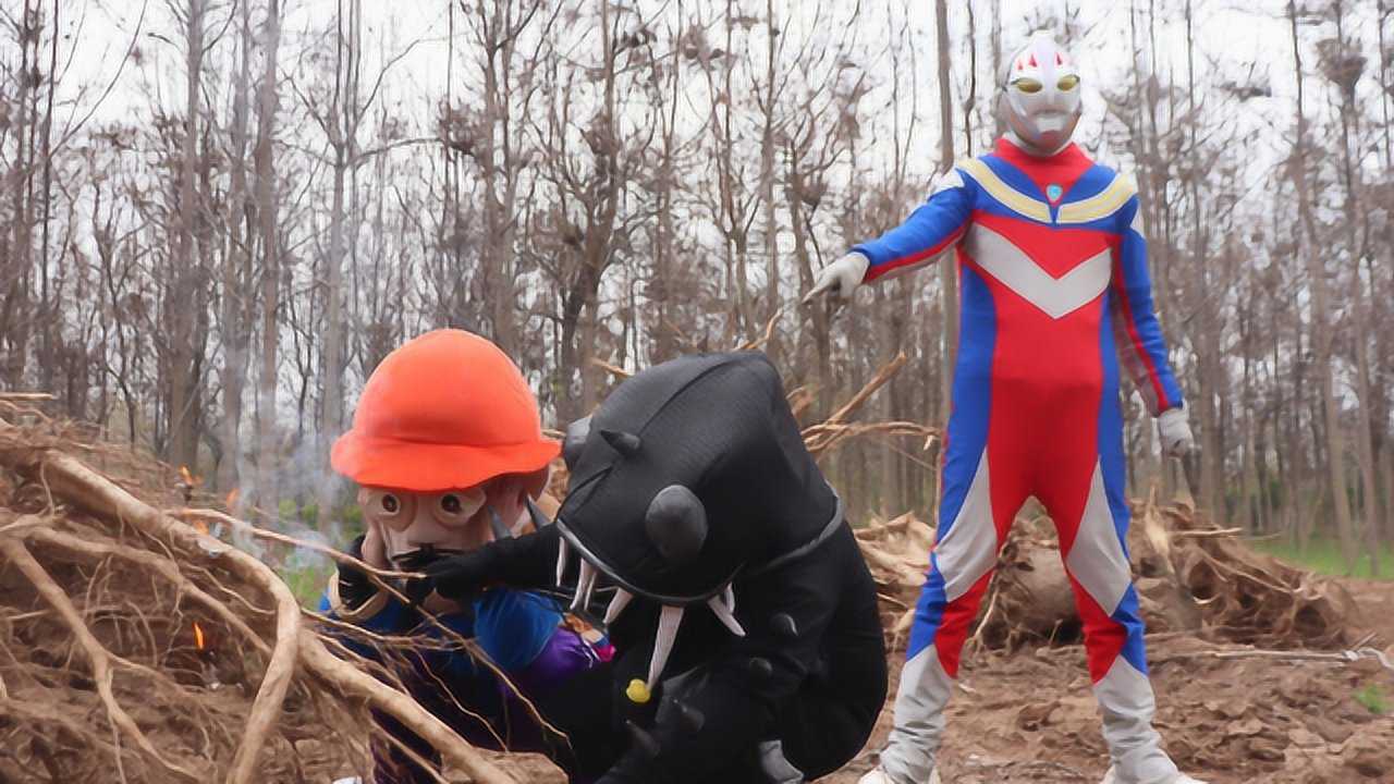 奥特曼真人版黑鱼怪和光头强烤火奥特曼出现二话不说就打他