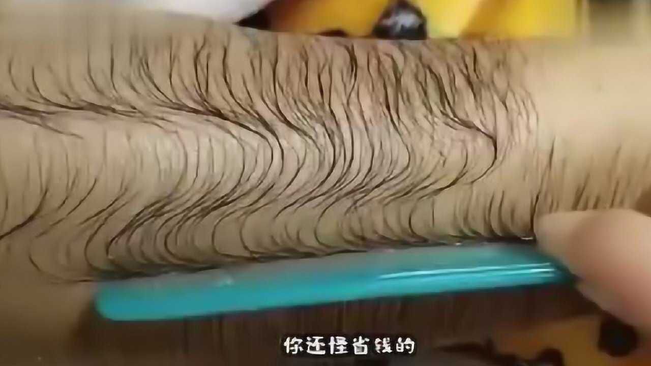 出生就带毛衣的小伙,这个汗毛可以扎起来当小辫了,哈哈哈