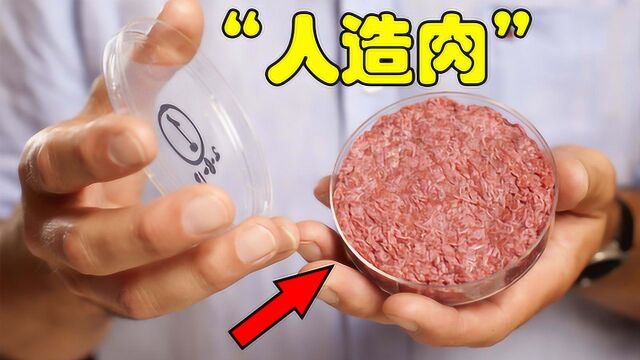 如果将来“人造肉”代替了传统肉类,你还会食用传统肉吗?