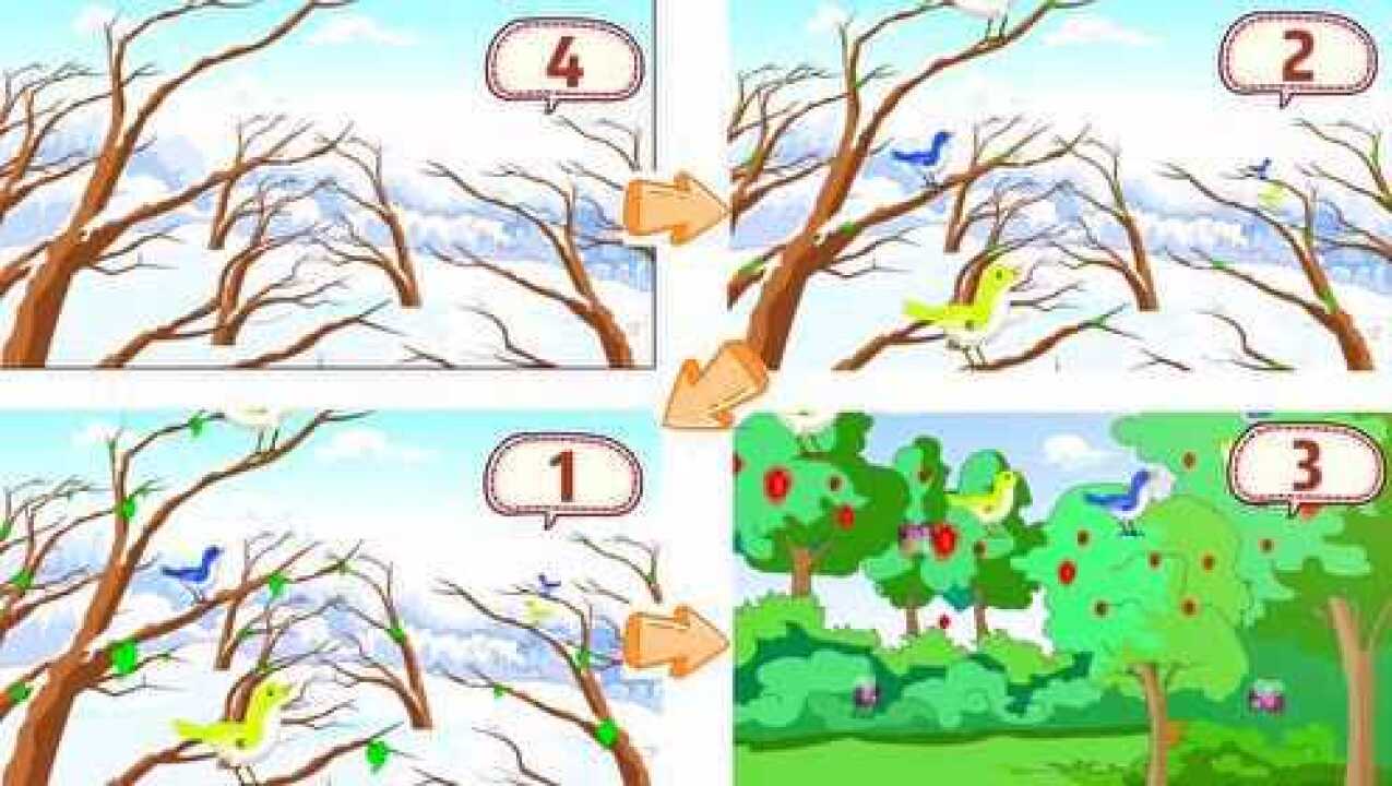 语言游戏《树叶小耳朵》