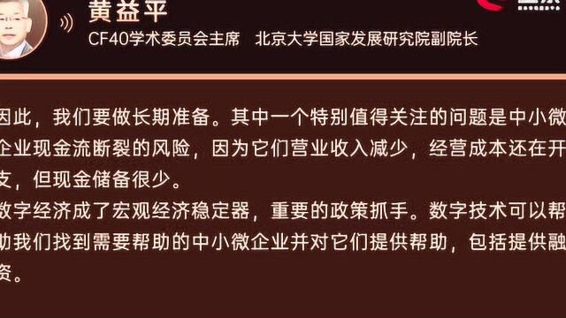 北京大学黄益平:助力中小微企业度过现金流断裂难关,复产复工最重要