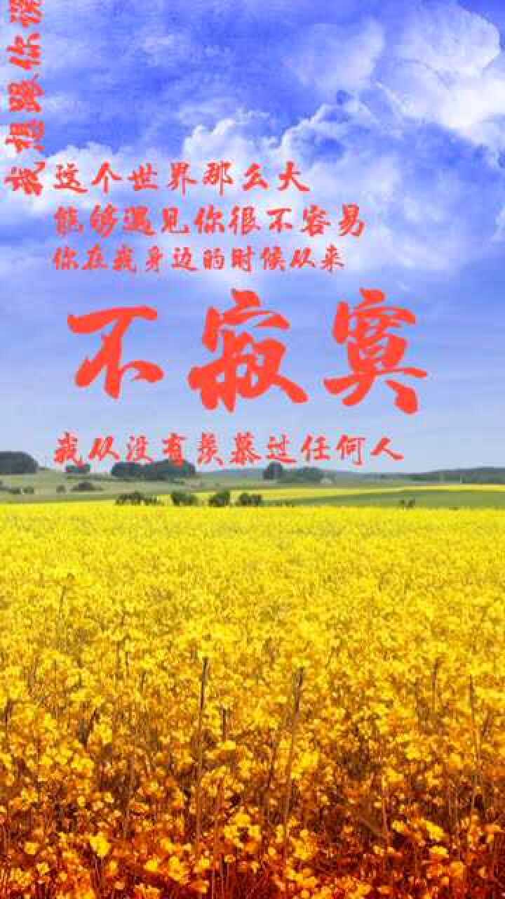情感语录:这个世界那么大,能够遇见你不容易