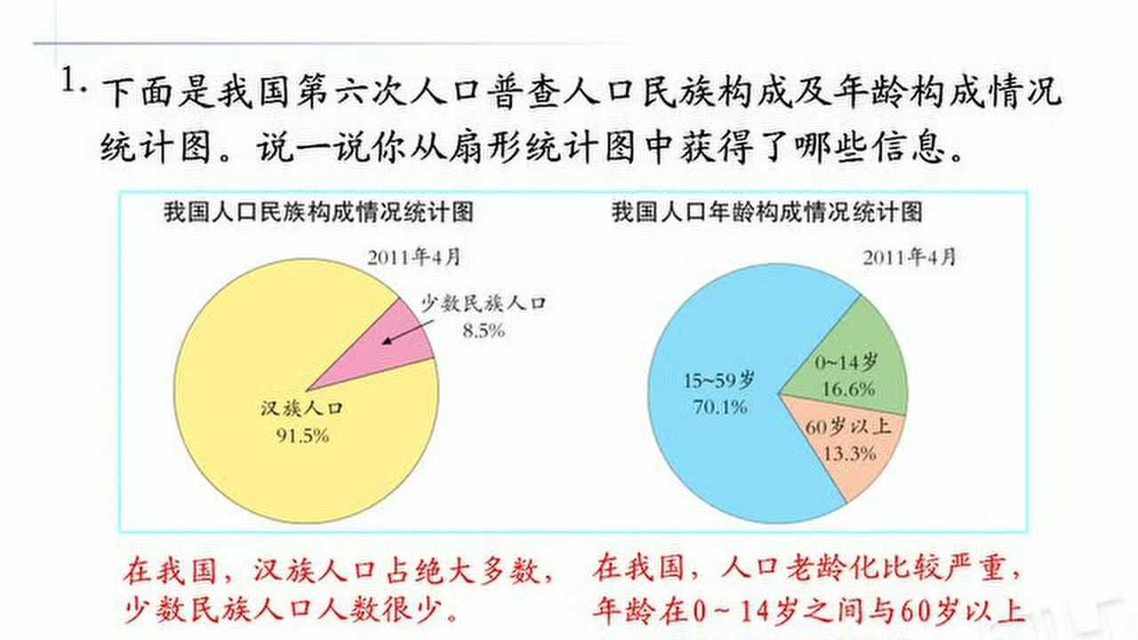 全国人口扇形统计图图片