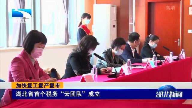 湖北省首个税务“云团队”成立