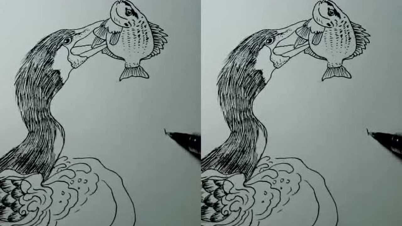 鸬鹚捕鱼白描