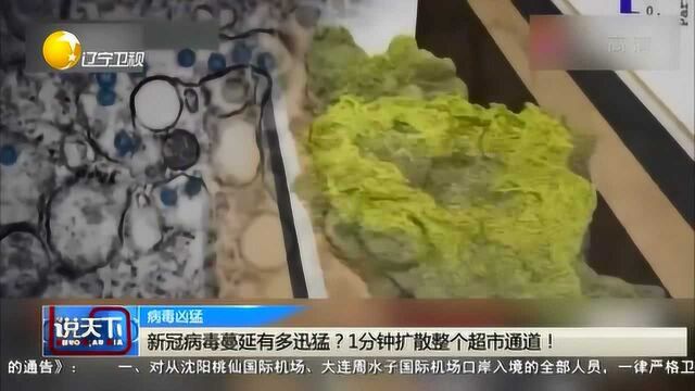 新冠病毒蔓延有多迅猛?1分钟扩散整个超市通道!