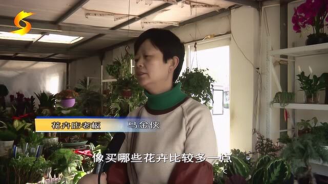 花卉绿植市场逐渐“回暖” 市民采购忙