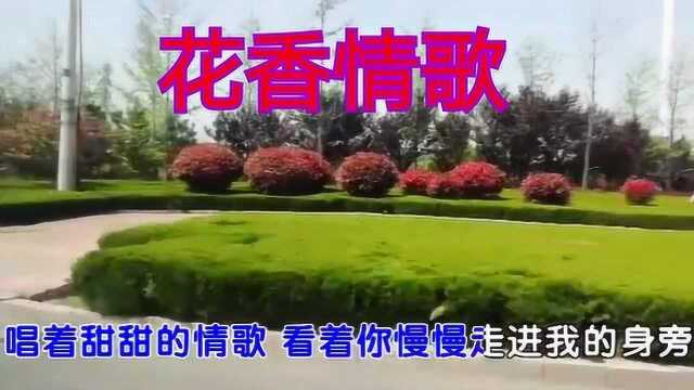 《花香情歌》演唱阿桑古卡