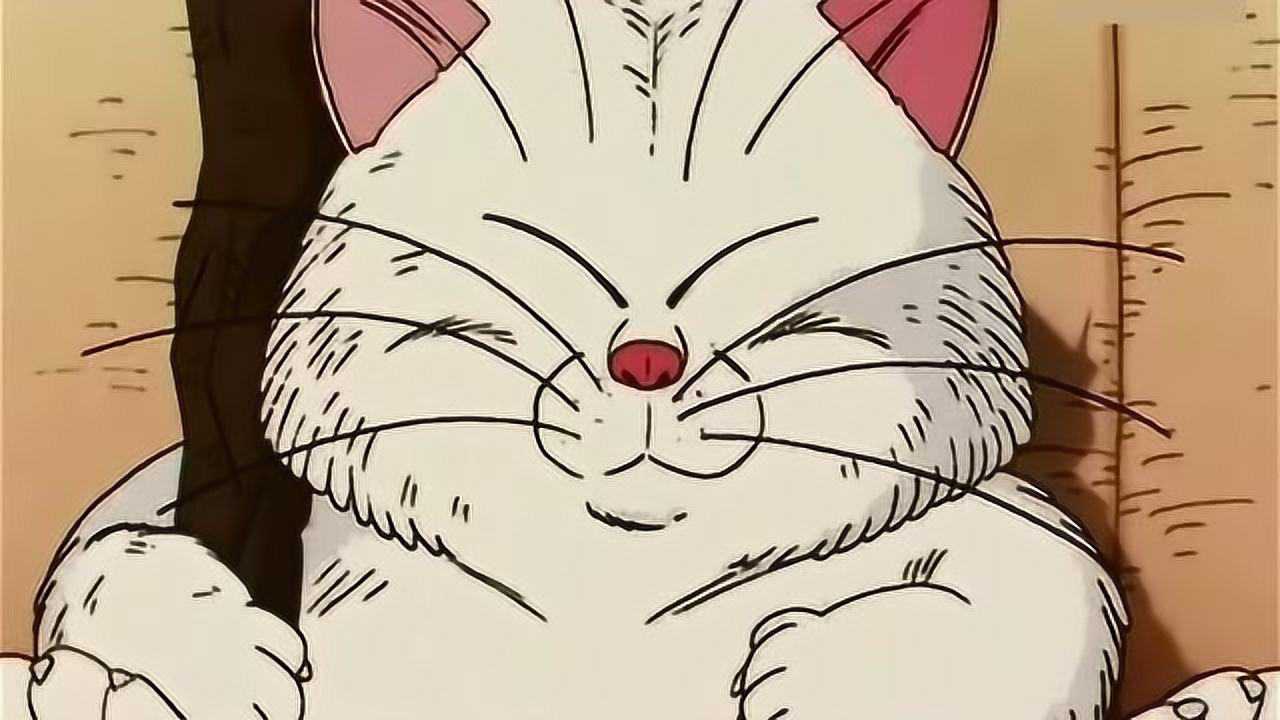 七龙珠加林仙人第一次下凡带路龟仙人感觉很荣幸