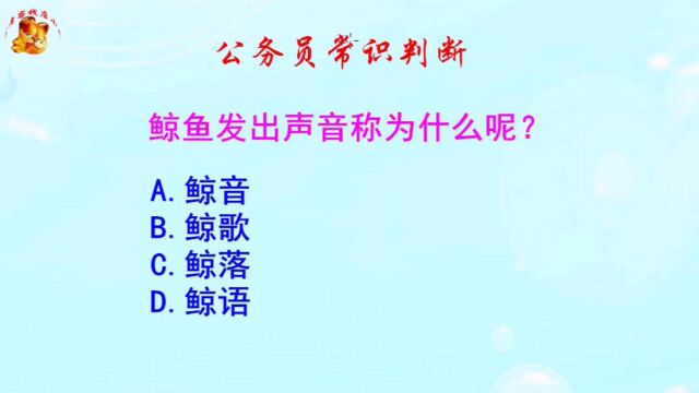 公务员常识判断,鲸鱼发出声音称为什么?很多同学都不知道