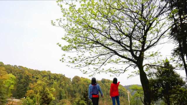 纳溪丰乐中学小学两姐妹花老师逛利合场,再去鼓楼山找教书旧回忆