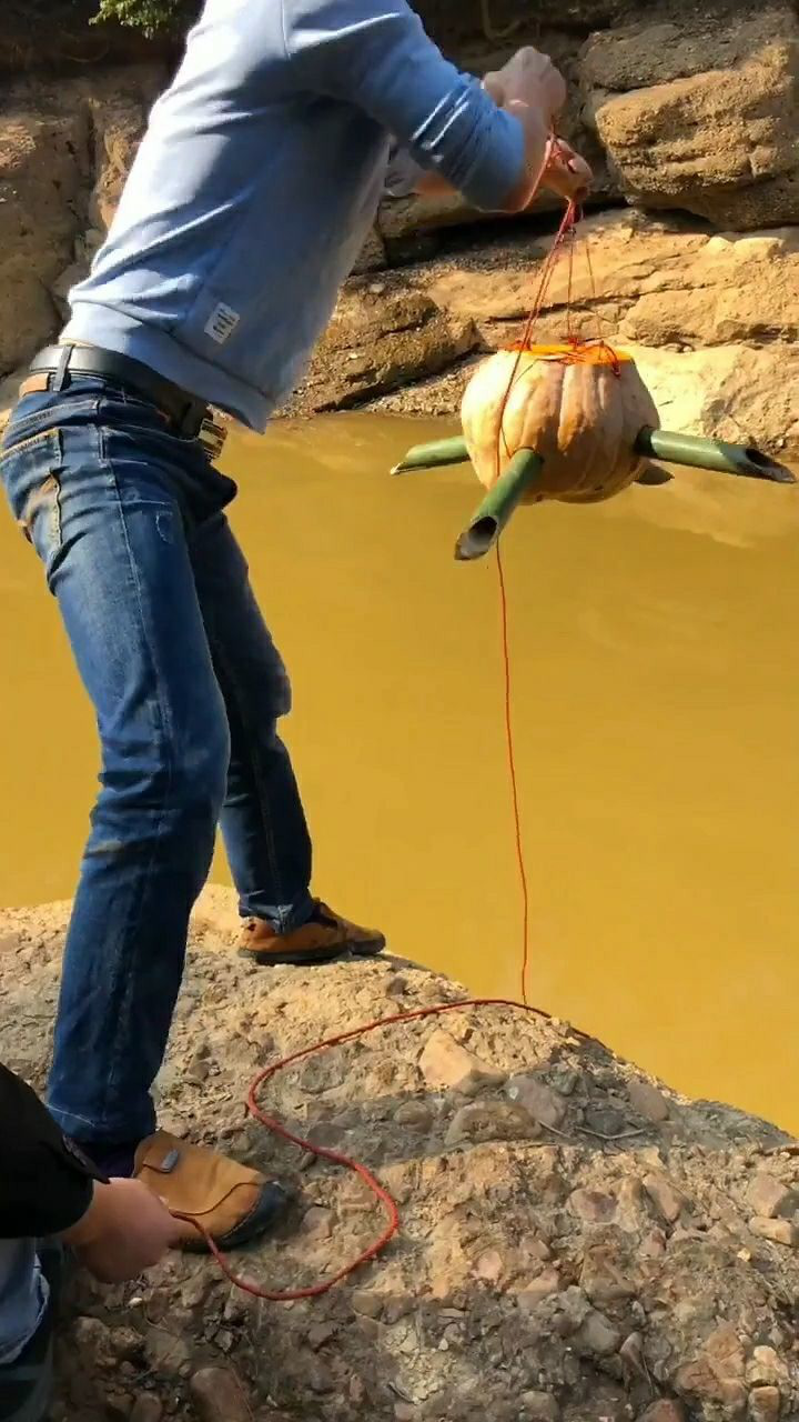 用南瓜做了一个超大陷阱,看看能抓到什么鱼上来