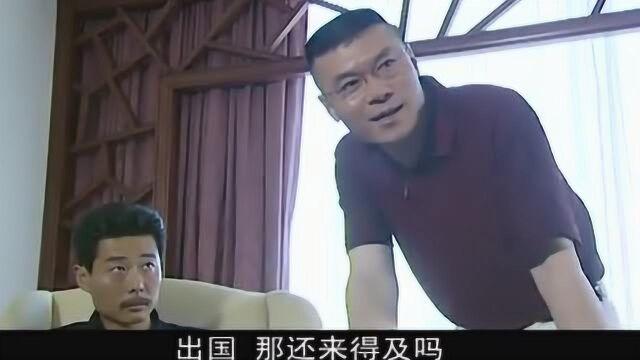 人大主任:老总犯事跑路,刚向国外转移资金,就被警方全部冻结