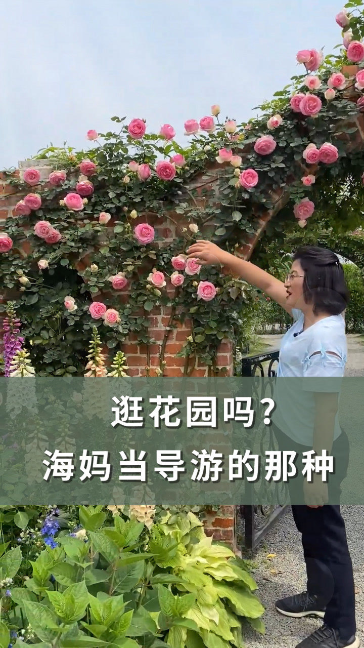 想看1000朵花同時綻放嗎?來海蒂的花園,海媽帶你看花海!