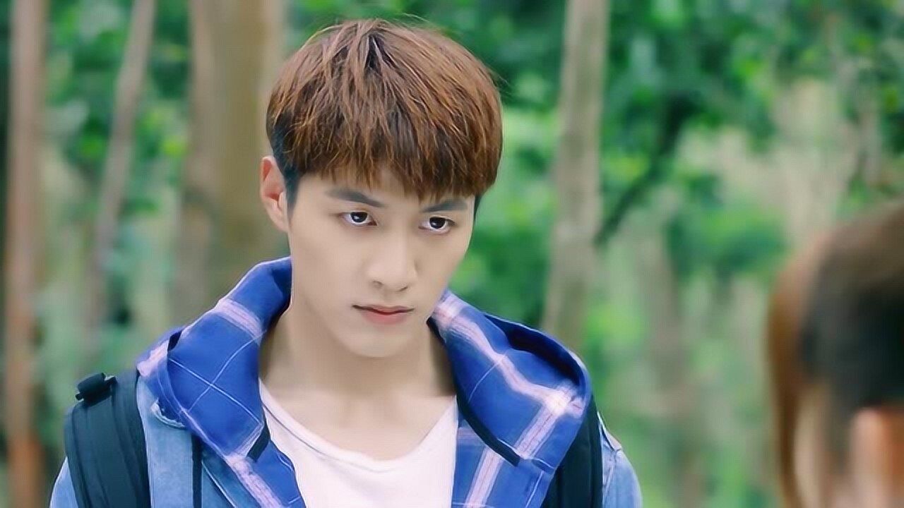 忘记你记得爱情茼蒿以为芊语想的是他没想到是别人茼蒿有点伤心