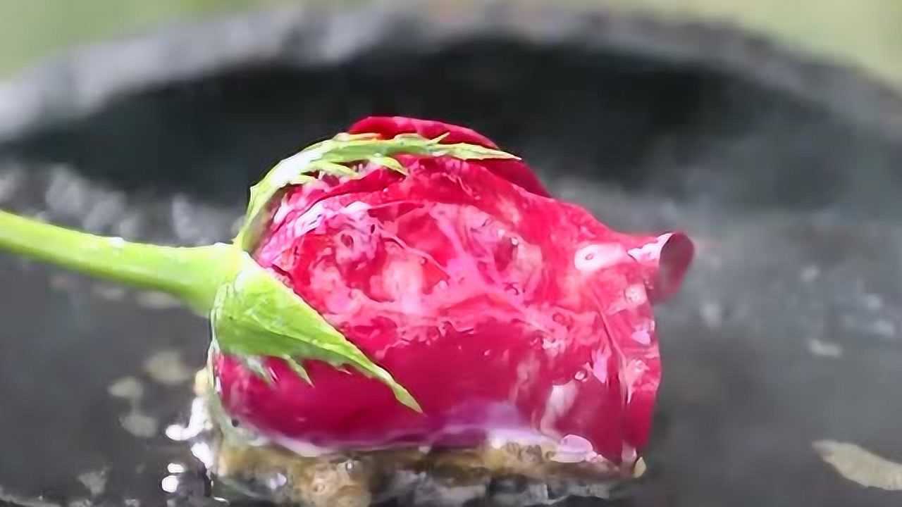 玫瑰花也能吃,看大哥带你感受不一样的烧烤,好像还很好吃的样子!