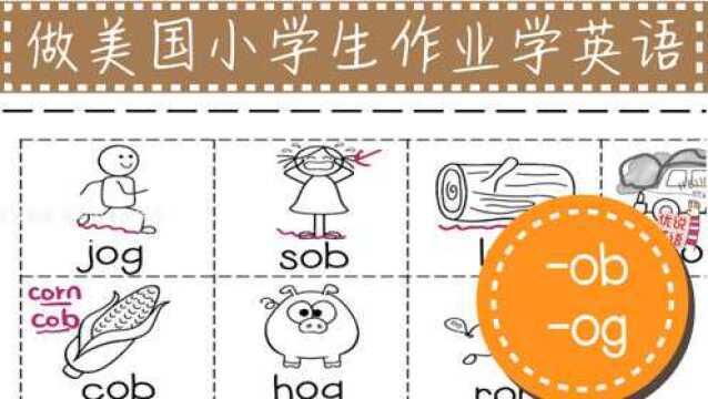 做美国小学生作业学英语,自然拼读,短元音组合ob和og的7个单词