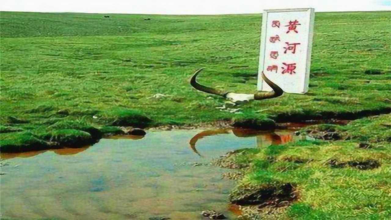 黄河源头被找到豪情万丈的黄河源头只有碗口大小太扎眼不敢靠近